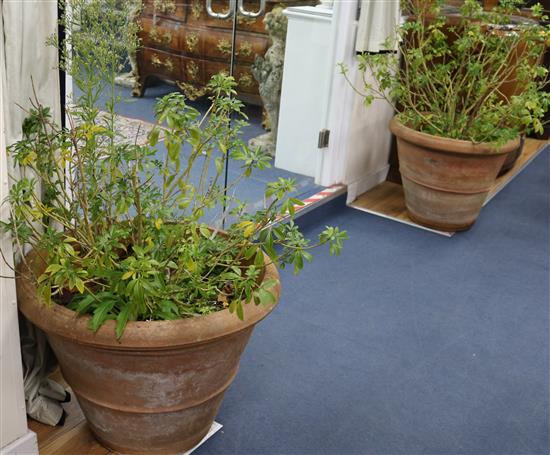 A pair of tapered cylindrical terracotta planters, H.53cms